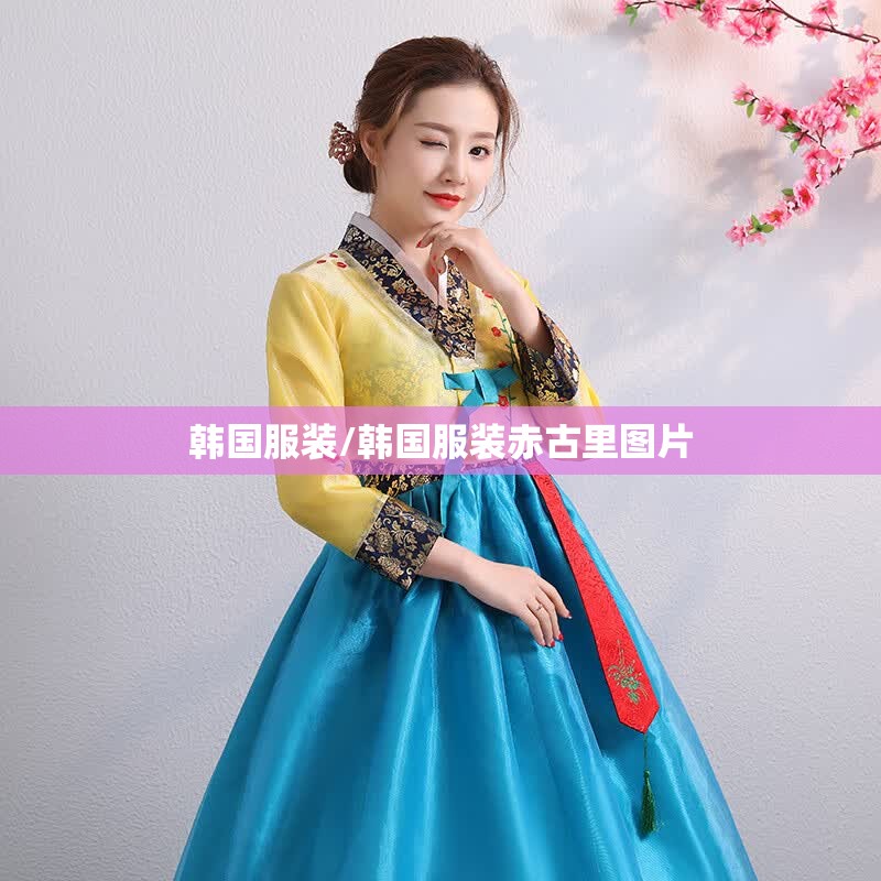 韩国服装/韩国服装赤古里图片