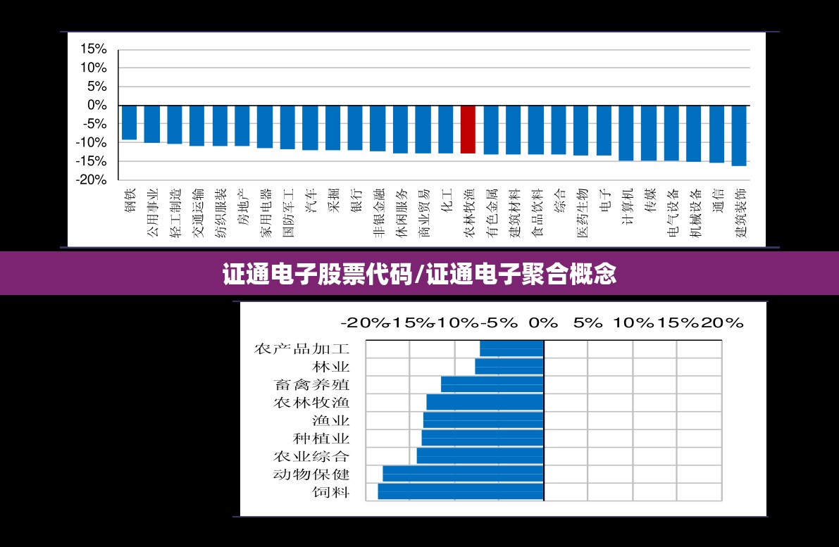 证通电子股票代码/证通电子聚合概念 证通电子股票代码/证通电子聚合概念