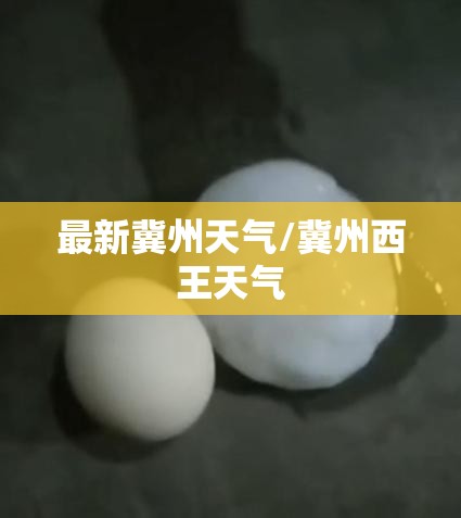 最新冀州天气/冀州西王天气