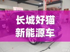 长城好猫新能源车型及费用(长城好猫车主真实评价) 长城好猫新能源车型及费用(长城好猫车主真实评价)