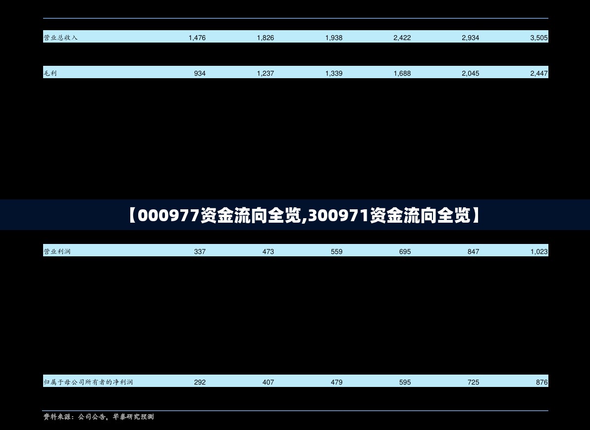 【000977资金流向全览,300971资金流向全览】