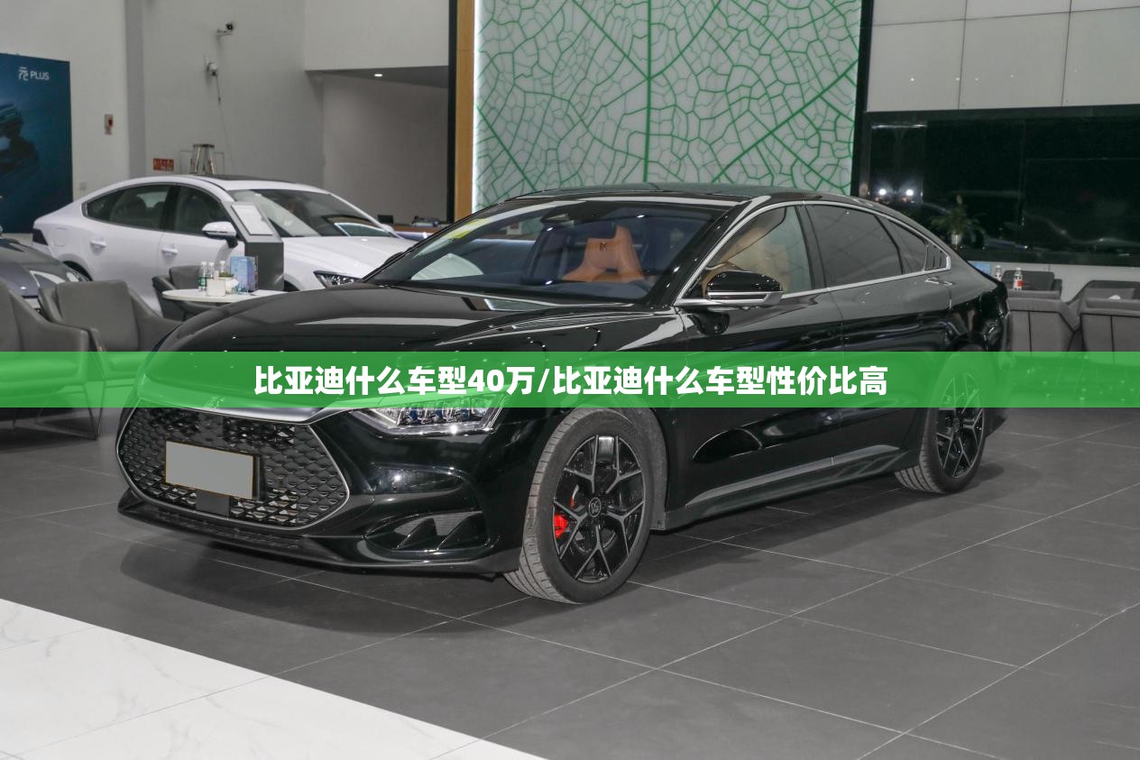 比亚迪什么车型40万/比亚迪什么车型性价比高