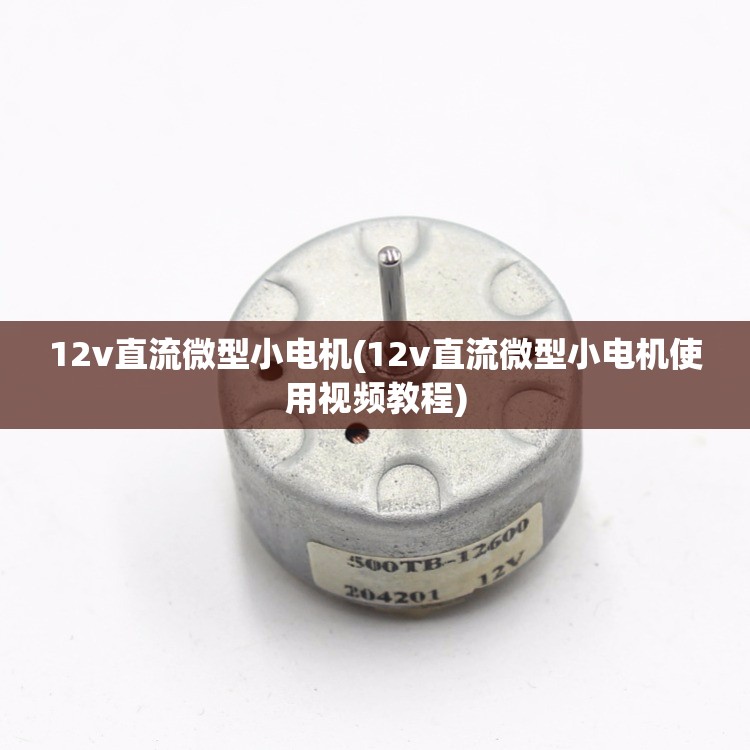 12v直流微型小电机(12v直流微型小电机使用视频教程) 12v直流微型小电机(12v直流微型小电机使用视频教程)