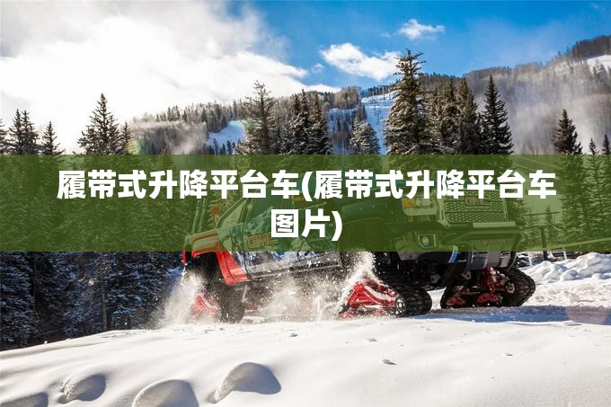 履带式升降平台车(履带式升降平台车图片)