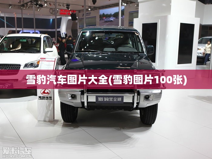 雪豹汽车图片大全(雪豹图片100张) 雪豹汽车图片大全(雪豹图片100张)