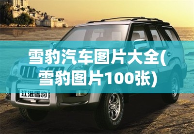 雪豹汽车图片大全(雪豹图片100张) 雪豹汽车图片大全(雪豹图片100张)