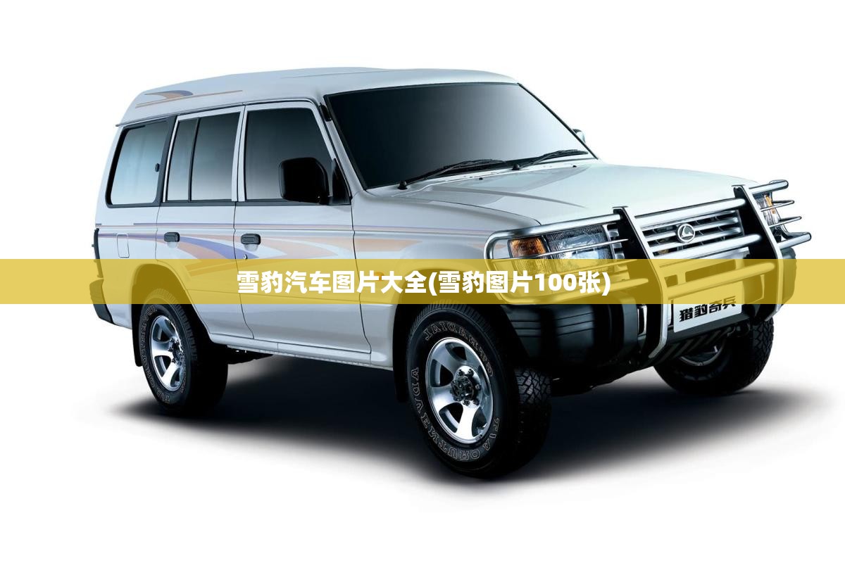 雪豹汽车图片大全(雪豹图片100张) 雪豹汽车图片大全(雪豹图片100张)