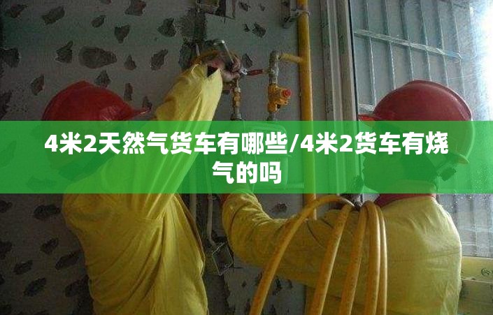 4米2天然气货车有哪些/4米2货车有烧气的吗