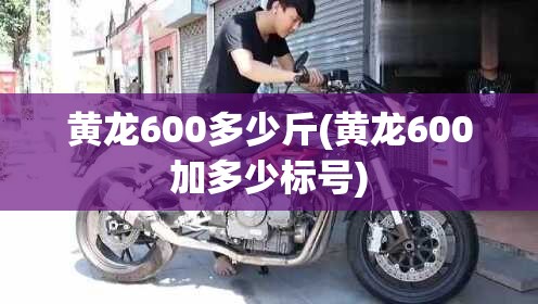 黄龙600多少斤(黄龙600加多少标号)