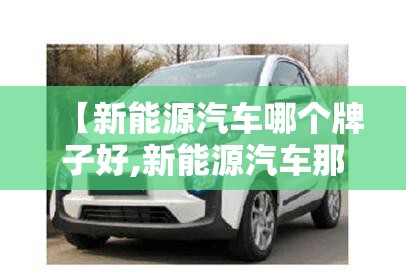 【新能源汽车哪个牌子好,新能源汽车那个品牌性价比比较高】
