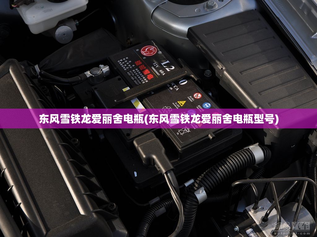 东风雪铁龙爱丽舍电瓶(东风雪铁龙爱丽舍电瓶型号) 东风雪铁龙爱丽舍电瓶(东风雪铁龙爱丽舍电瓶型号)
