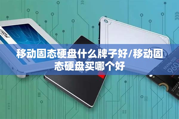 移动固态硬盘什么牌子好/移动固态硬盘买哪个好 移动固态硬盘什么牌子好/移动固态硬盘买哪个好