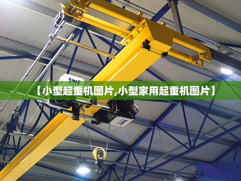 【小型起重机图片,小型家用起重机图片】 【小型起重机图片,小型家用起重机图片】