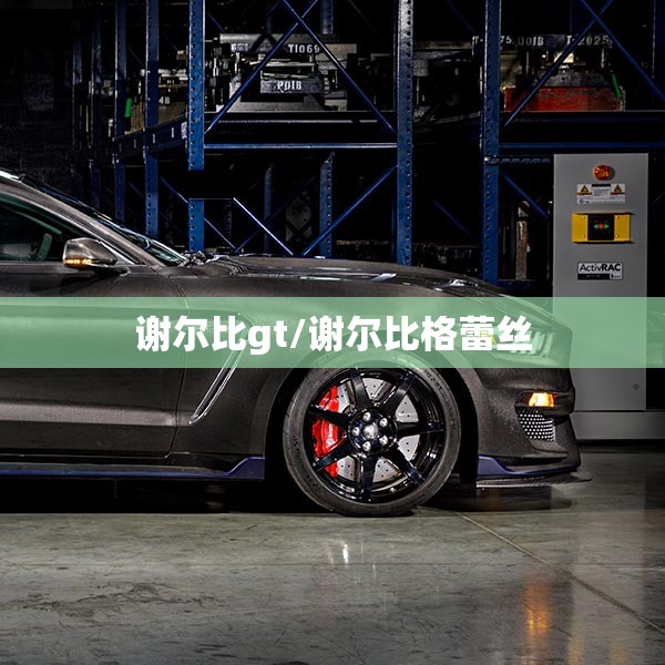 谢尔比gt/谢尔比格蕾丝 谢尔比gt/谢尔比格蕾丝