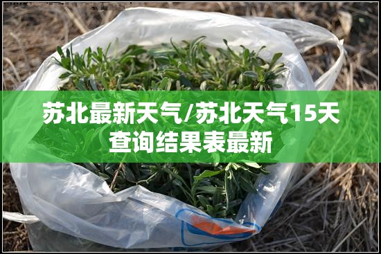 苏北最新天气/苏北天气15天查询结果表最新