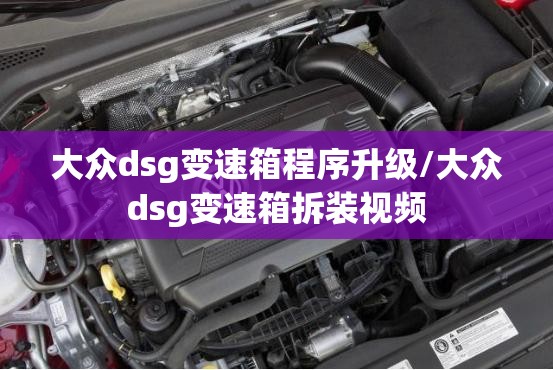 大众dsg变速箱程序升级/大众dsg变速箱拆装视频