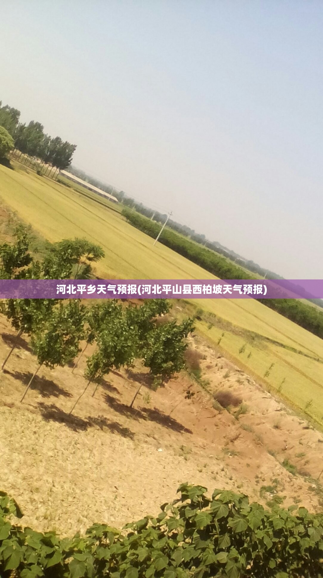 河北平乡天气预报(河北平山县西柏坡天气预报) 河北平乡天气预报(河北平山县西柏坡天气预报)