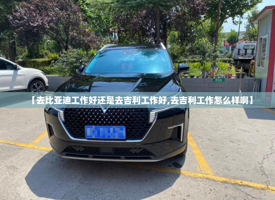 【去比亚迪工作好还是去吉利工作好,去吉利工作怎么样啊】 【去比亚迪工作好还是去吉利工作好,去吉利工作怎么样啊】