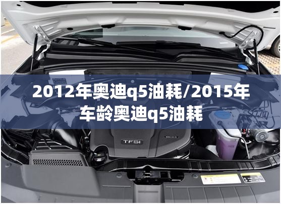 2012年奥迪q5油耗/2015年车龄奥迪q5油耗 2012年奥迪q5油耗/2015年车龄奥迪q5油耗