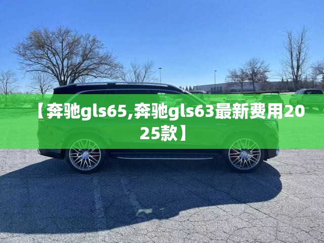【奔驰gls65,奔驰gls63最新费用2025款】