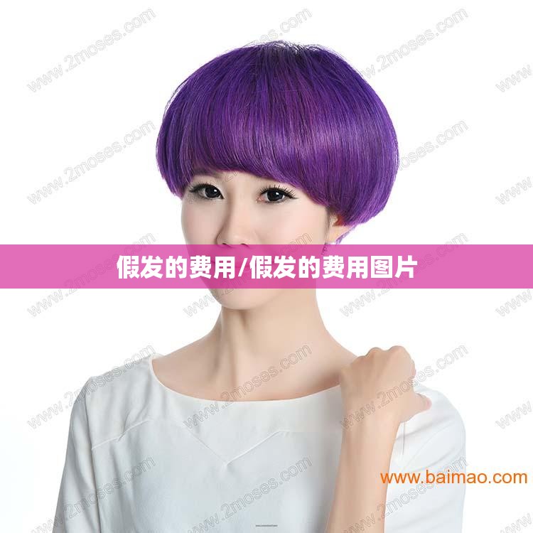 假发的费用/假发的费用图片 假发的费用/假发的费用图片