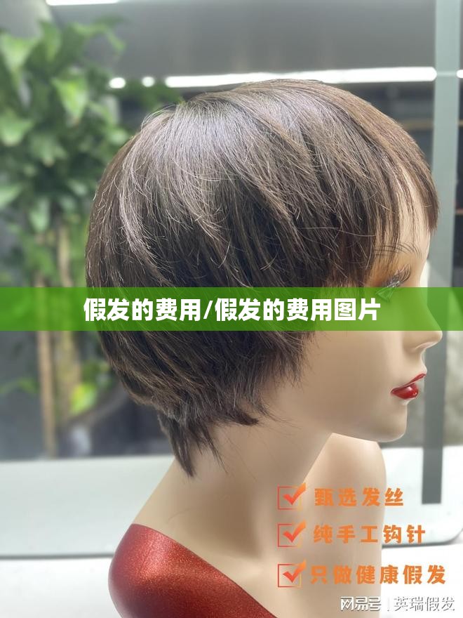 假发的费用/假发的费用图片 假发的费用/假发的费用图片
