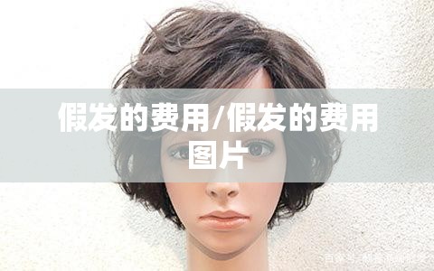 假发的费用/假发的费用图片 假发的费用/假发的费用图片