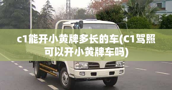 c1能开小黄牌多长的车(C1驾照可以开小黄牌车吗)