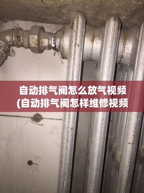 自动排气阀怎么放气视频(自动排气阀怎样维修视频)