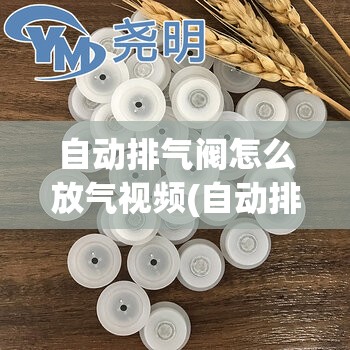 自动排气阀怎么放气视频(自动排气阀怎样维修视频)