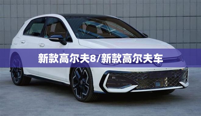 新款高尔夫8/新款高尔夫车 新款高尔夫8/新款高尔夫车