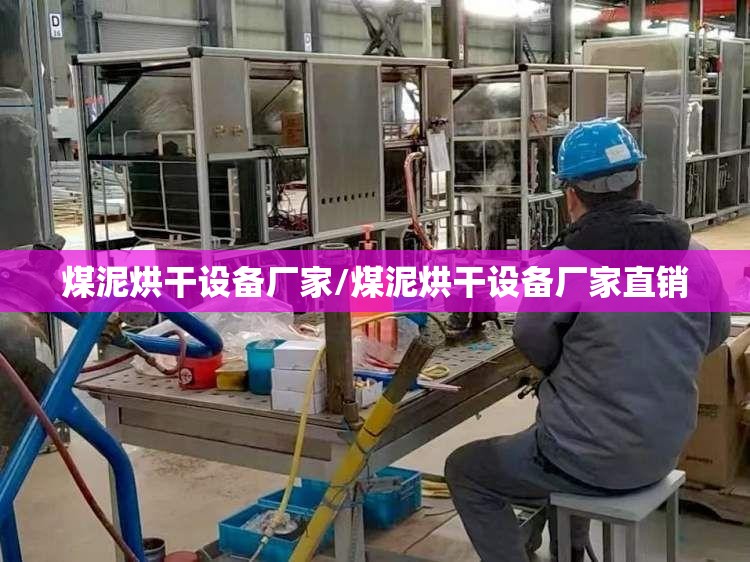 煤泥烘干设备厂家/煤泥烘干设备厂家直销