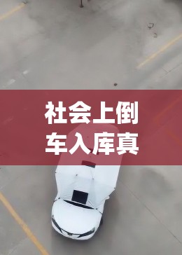 社会上倒车入库真实视频(现实中倒车入库视频) 社会上倒车入库真实视频(现实中倒车入库视频)