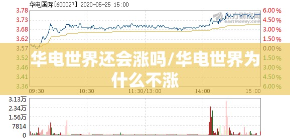 华电世界还会涨吗/华电世界为什么不涨 华电世界还会涨吗/华电世界为什么不涨