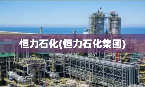 恒力石化(恒力石化集团)