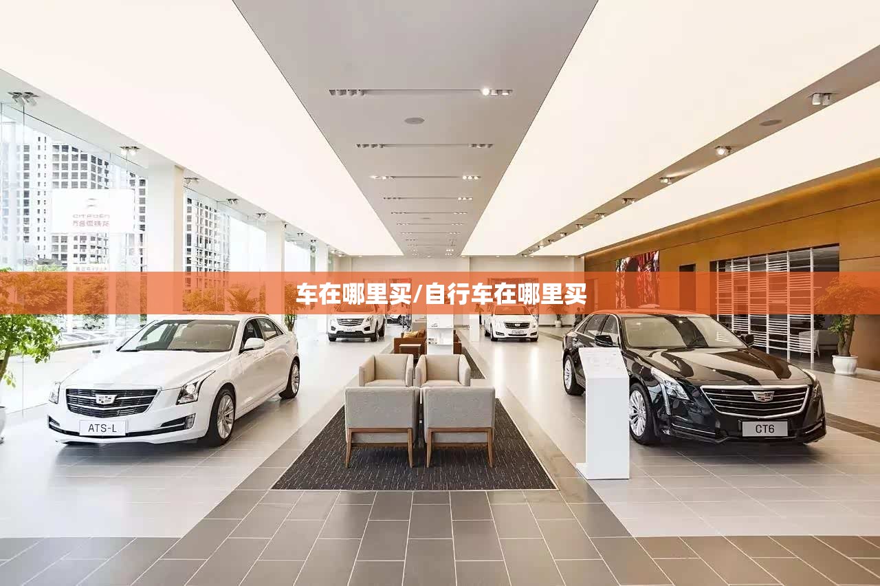 车在哪里买/自行车在哪里买 车在哪里买/自行车在哪里买
