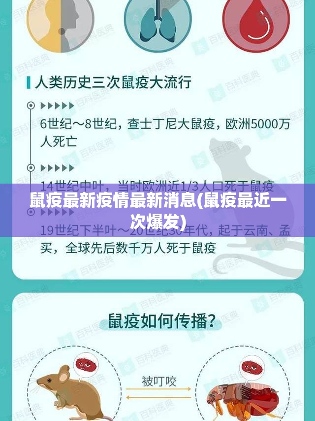 鼠疫最新疫情最新消息(鼠疫最近一次爆发)
