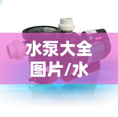 水泵大全图片/水泵大全100种实物图 水泵大全图片/水泵大全100种实物图