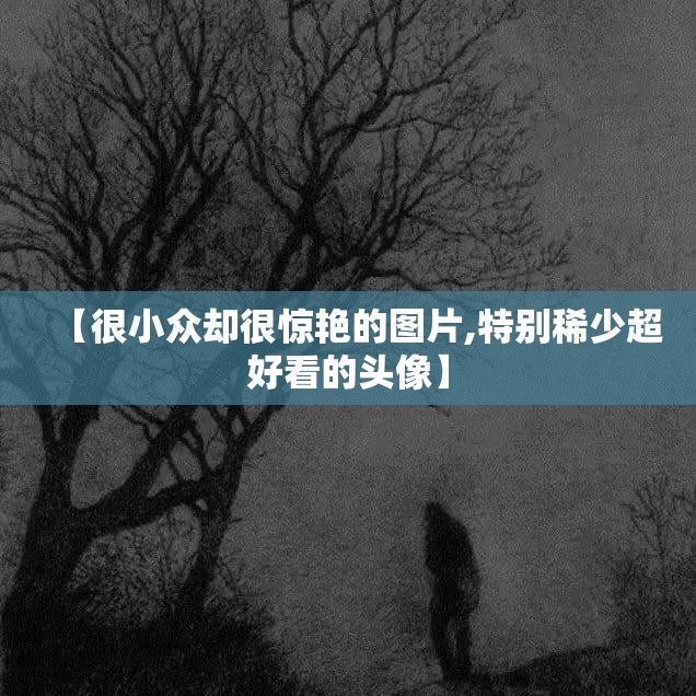 【很小众却很惊艳的图片,特别稀少超好看的头像】 【很小众却很惊艳的图片,特别稀少超好看的头像】