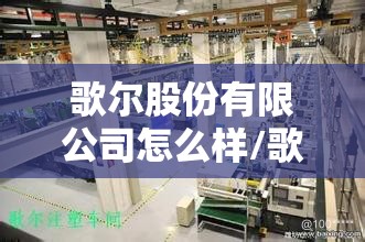 歌尔股份有限公司怎么样/歌尔正式员工一月工资多少钱 歌尔股份有限公司怎么样/歌尔正式员工一月工资多少钱