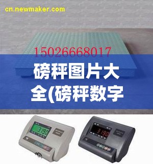 磅秤图片大全(磅秤数字图片)