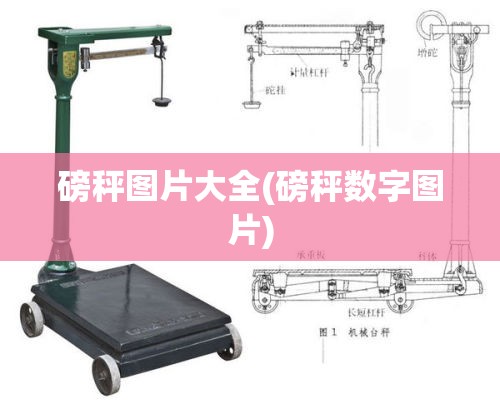磅秤图片大全(磅秤数字图片)
