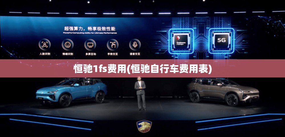 恒驰1fs费用(恒驰自行车费用表)