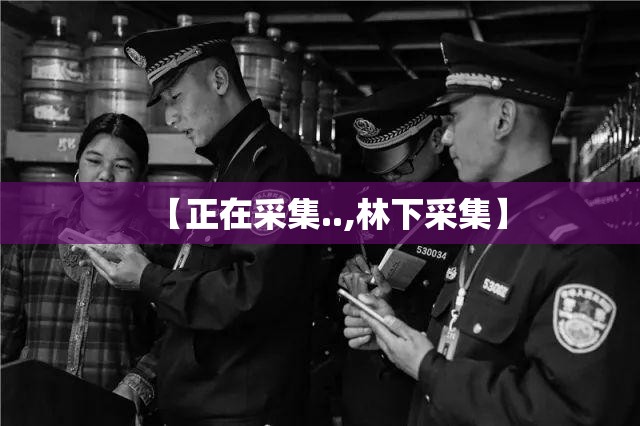 【正在采集..,林下采集】 【正在采集..,林下采集】