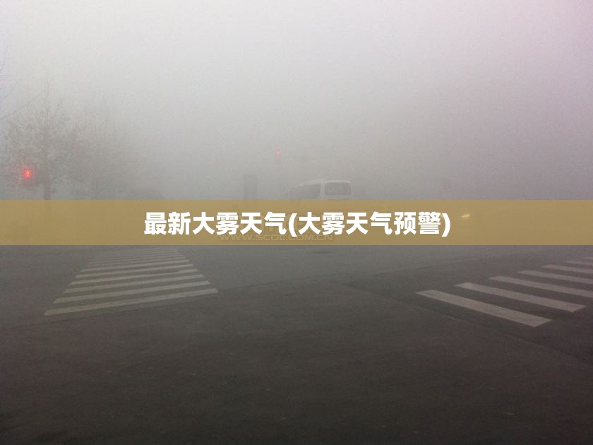最新大雾天气(大雾天气预警) 最新大雾天气(大雾天气预警)