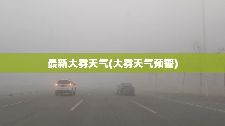 最新大雾天气(大雾天气预警) 最新大雾天气(大雾天气预警)