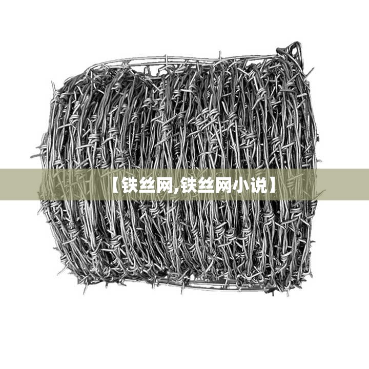 【铁丝网,铁丝网小说】 【铁丝网,铁丝网小说】