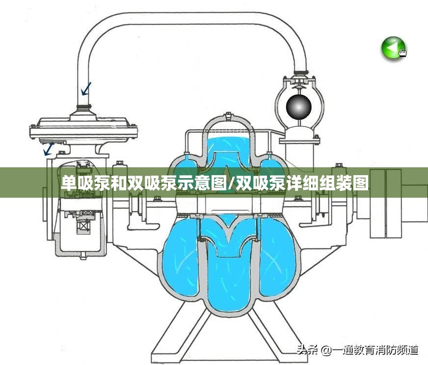 单吸泵和双吸泵示意图/双吸泵详细组装图