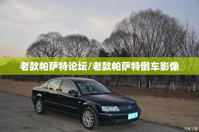 老款帕萨特论坛/老款帕萨特倒车影像 老款帕萨特论坛/老款帕萨特倒车影像
