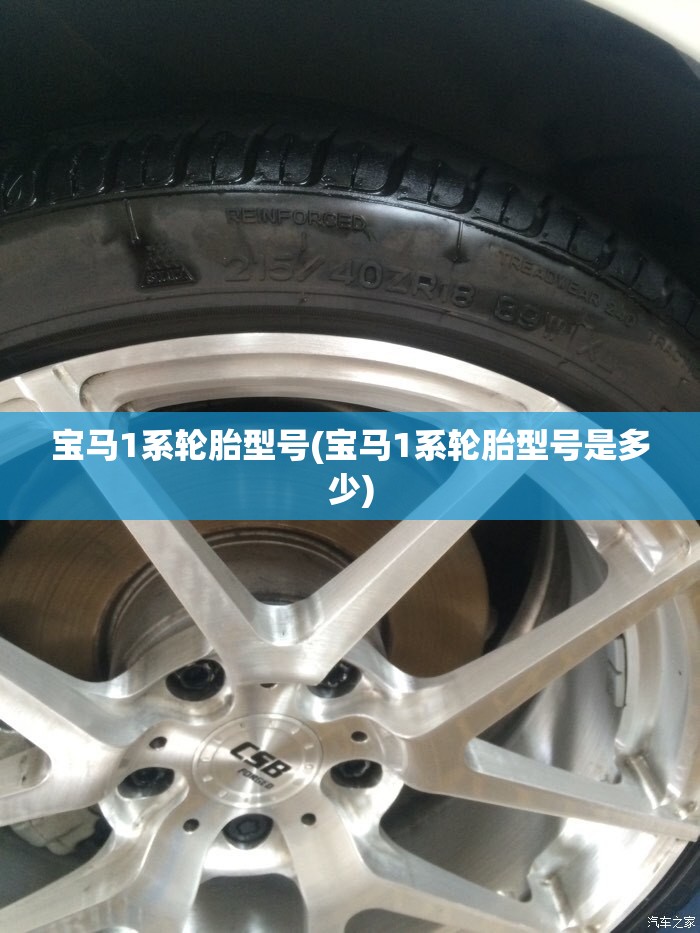 宝马1系轮胎型号(宝马1系轮胎型号是多少) 宝马1系轮胎型号(宝马1系轮胎型号是多少)